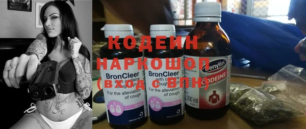 спиды Пересвет