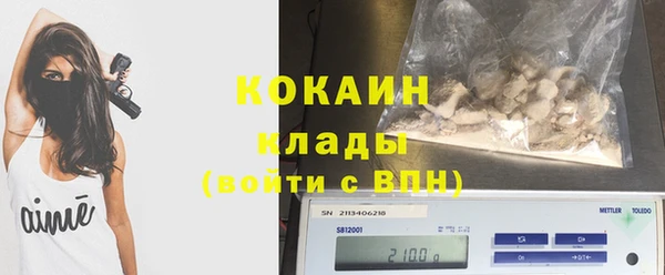 PSILOCYBIN Переславль-Залесский