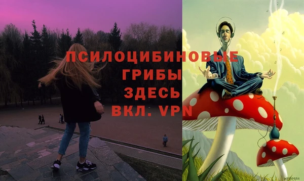 PSILOCYBIN Переславль-Залесский