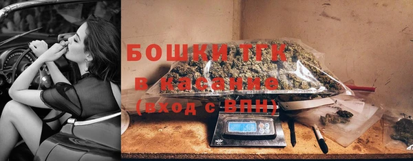 спиды Пересвет