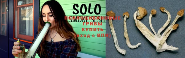бошки Пестово