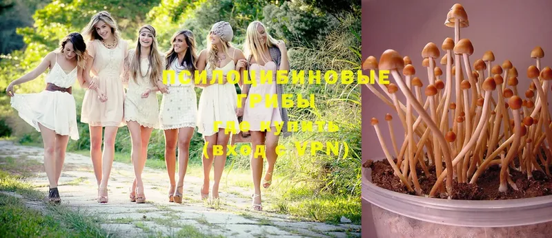 MEGA Алдан Псилоцибиновые грибы MAGIC MUSHROOMS